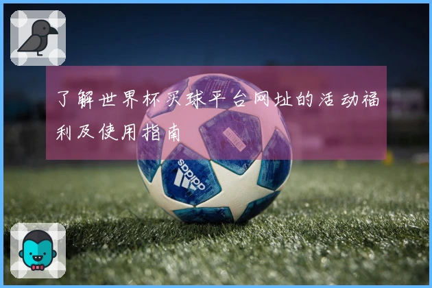 了解世界杯买球平台网址的活动福利及使用指南