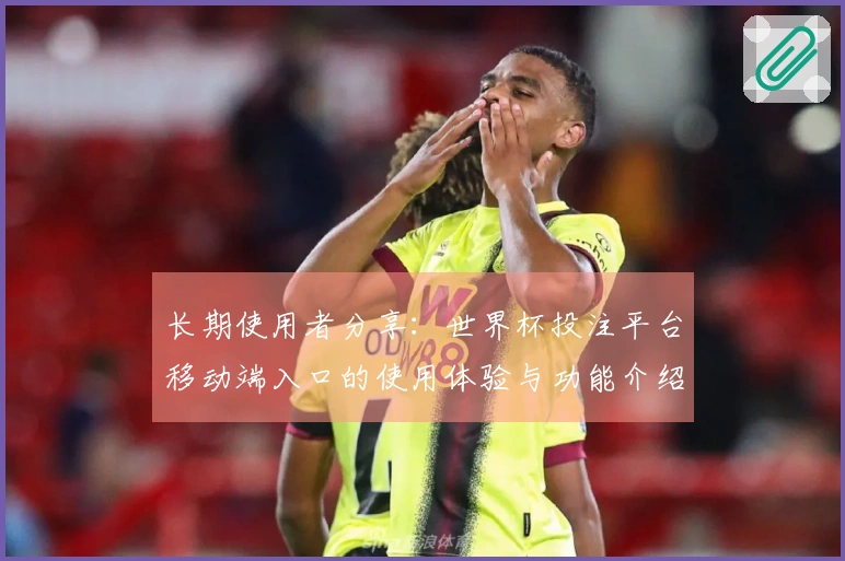 长期使用者分享:世界杯投注平台移动端入口的使用体验与功能介绍