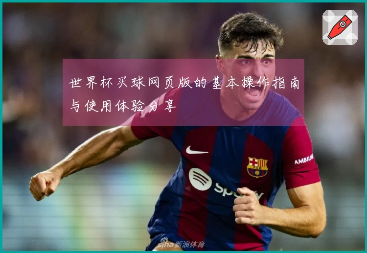 世界杯买球网页版的基本操作指南与使用体验分享