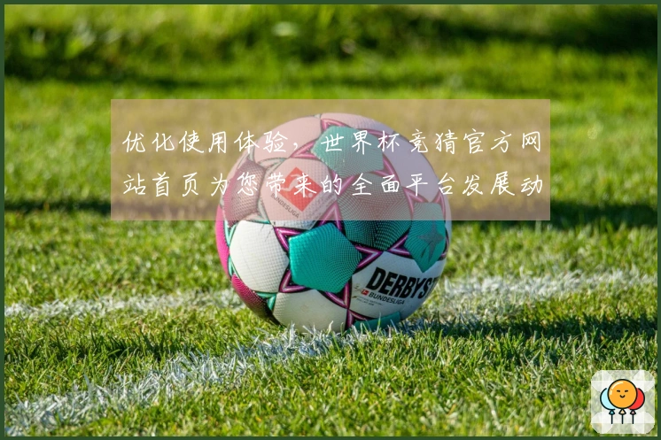 优化使用体验，世界杯竞猜官方网站首页为您带来的全面平台发展动态