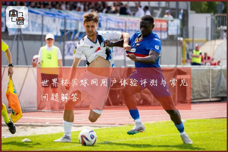 世界杯买球网用户体验评测与常见问题解答