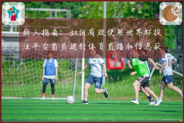 新人指南：如何有效使用世界杯投注平台首页进行体育直播和信息获取