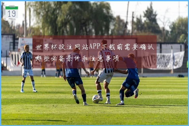 世界杯投注网站APP下载前需要确认哪些必备条件和注意事项