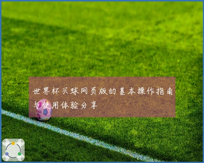 世界杯买球网页版的基本操作指南与使用体验分享