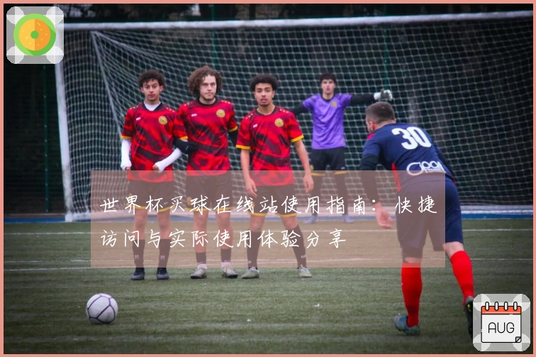 世界杯买球在线站使用指南：快捷访问与实际使用体验分享