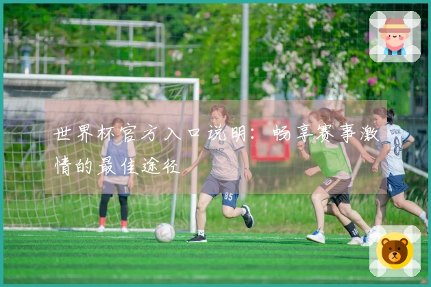 世界杯官方入口说明：畅享赛事激情的最佳途径