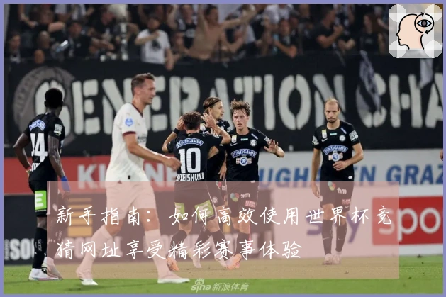 新手指南：如何高效使用世界杯竞猜网址享受精彩赛事体验