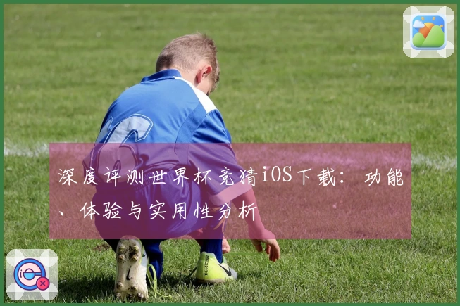 深度评测世界杯竞猜iOS下载:功能、体验与实用性分析