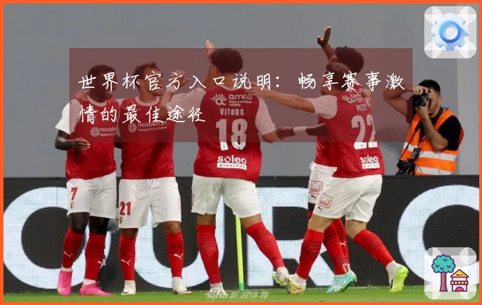 世界杯官方入口说明:畅享赛事激情的最佳途径