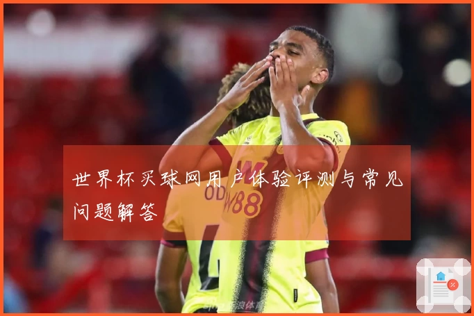 世界杯买球网用户体验评测与常见问题解答