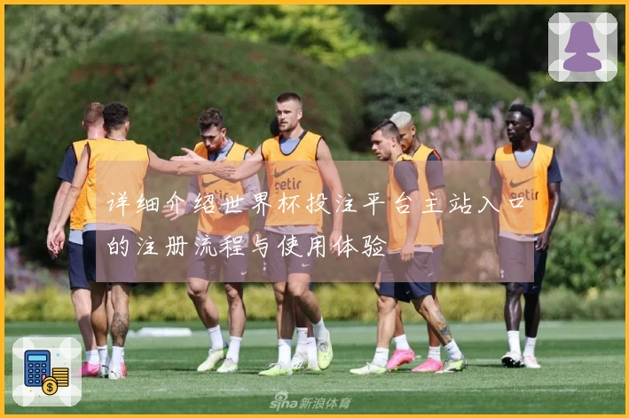 详细介绍世界杯投注平台主站入口的注册流程与使用体验