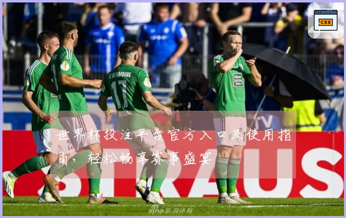 世界杯投注平台官方入口及使用指南，轻松畅享赛事盛宴