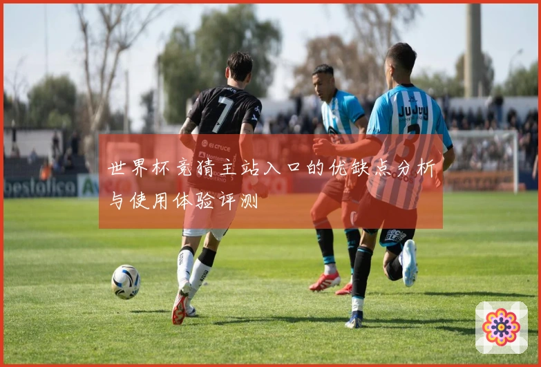 世界杯竞猜主站入口的优缺点分析与使用体验评测