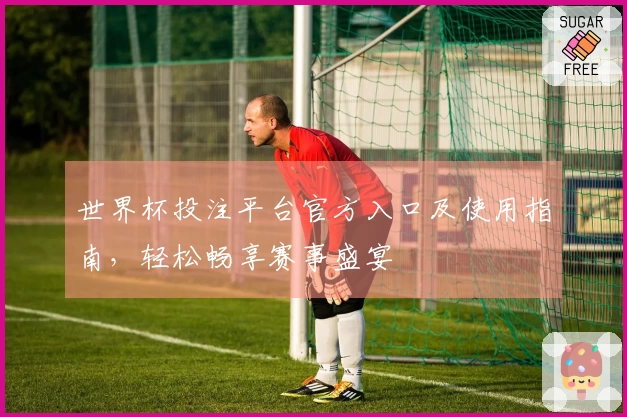 世界杯投注平台官方入口及使用指南，轻松畅享赛事盛宴
