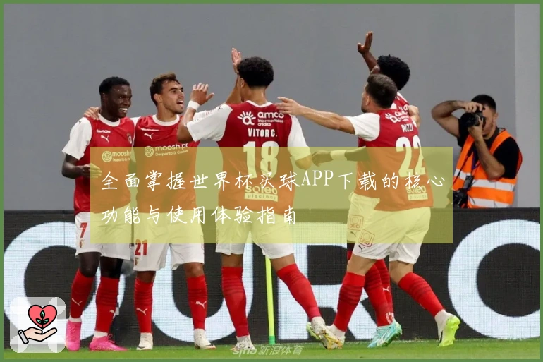 全面掌握世界杯买球APP下载的核心功能与使用体验指南