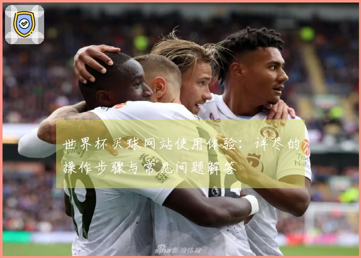 世界杯买球网站使用体验：详尽的操作步骤与常见问题解答