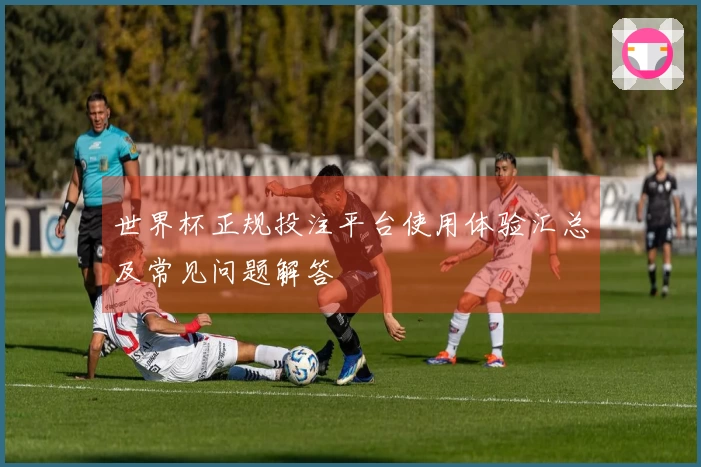 世界杯正规投注平台使用体验汇总及常见问题解答